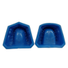 MOLDE PARA TIPODONTO DENTADO ADULTO