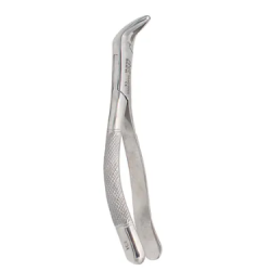 FORCEP # 151 ANTER/CANINO/PREMO-INF ARAIN